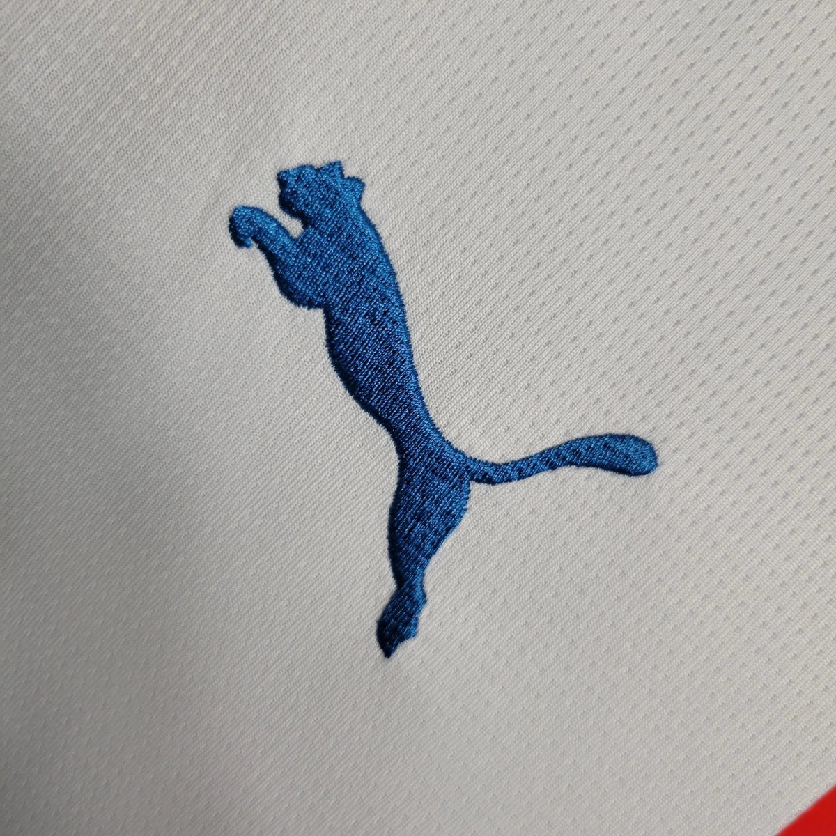 Camisola Al Hilal Alternativa 23/24 - foto 4
