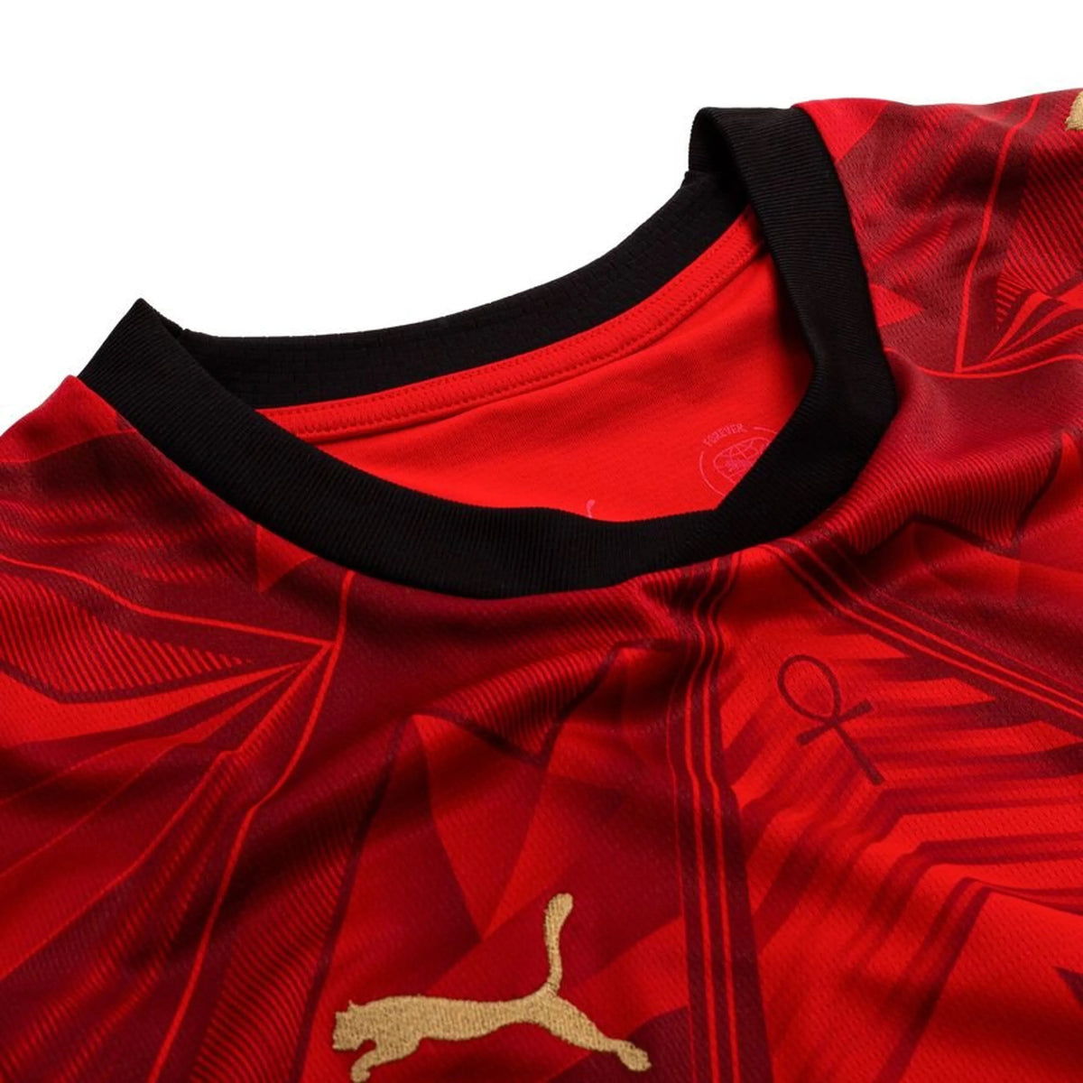 Egypt Home Jersey 2026/27 - photo 6