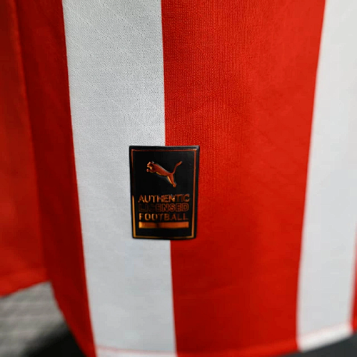 Chivas Guadalajara Home Jersey 2025/26 Player Version - photo 9