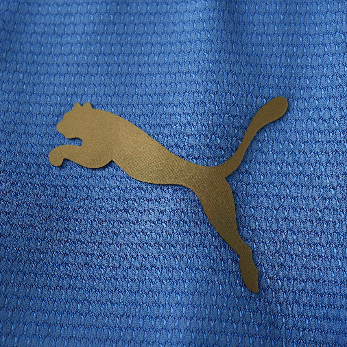 Italy Retro Home Jersey 2006 - photo 6