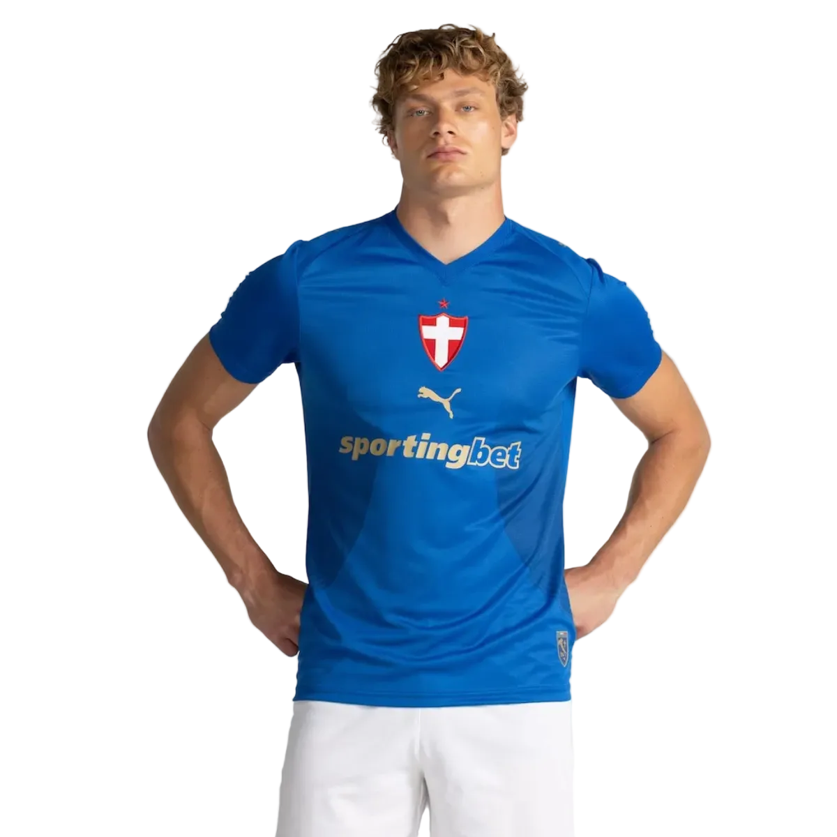 Maglia Palmeiras Third 26/27